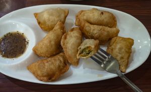 Fried Dumplings at Maitreya Healthy Vegetarian Restaurant in Phnom Penh