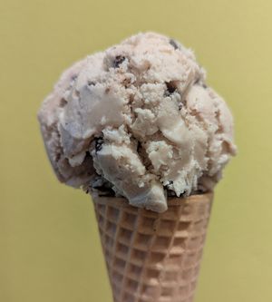 Hazelnut Chocolate Chip at Van Leeuwen Ice Cream - Rittenhouse in Philadelphia