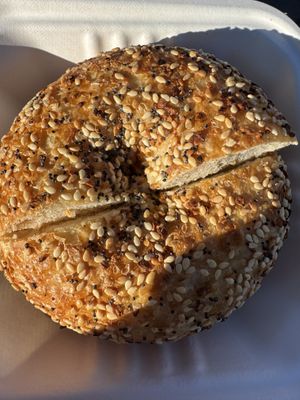 Everything bagel with vegan cc  at Apollo Bagels in New York City