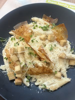 Penne  at BioMania Bistro in Zagreb