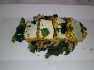 kale crusted tofu loin at Wynn Encore Hotel - Botero in Las Vegas
