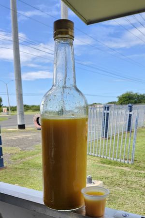 Freshly made turmeric and ginger shots at La Antropología de la Comida in Salinas