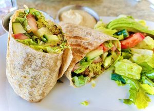 Falafel wrap plate w/ side of hummus  at Panini Cafe in Woodland Hills