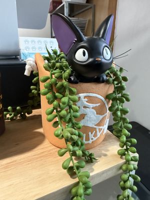   at Three Cats Coffee in Woodinville