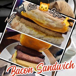  at Three Cats Coffee in Woodinville