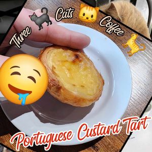  at Three Cats Coffee in Woodinville