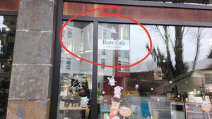  at Three Cats Coffee in Woodinville