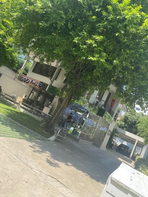   at Cult.Thailand in Bangkok