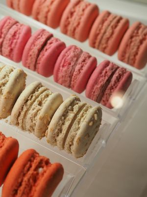  at Patisserie Sießl in Munich