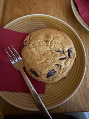   at Gloria in Cologne