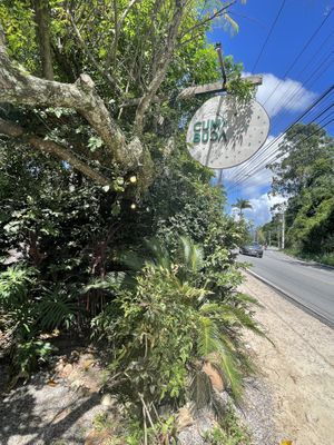    at Cumbuca in Florianopolis