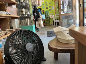 Fan in the front seating area is nice to sit by.  at Samara Organics in Samara