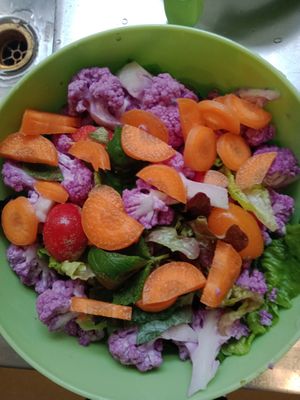  at ESSENCE of AROHA AHORA in Takaka