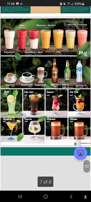 Menu at Hotel Spa Miramelindo in Banos De Agua Santa