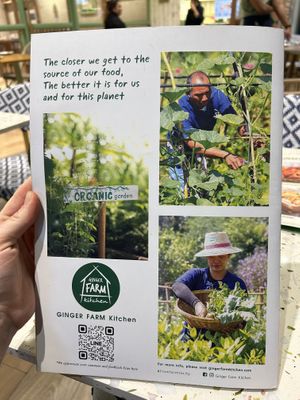 Concept  at Ginger Farm Kitchen in Phuket