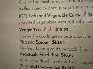 Vegetarian options that are actually vegan at Thai Smile in Palm Springs