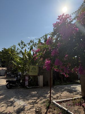   at Ojas Vegan & Vegetarian Eatery in Siem Reap