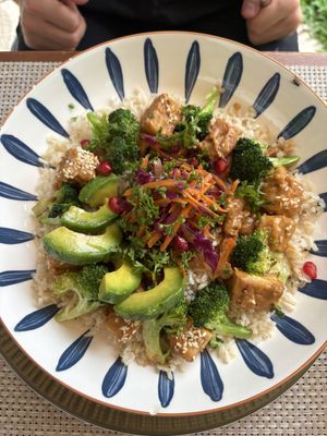   at Ojas Vegan & Vegetarian Eatery in Siem Reap