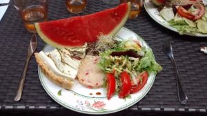 Dish of the day at La Revolution Verte in Perpignan