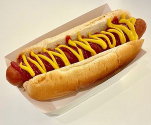 Hotdog at Vegan Burger - Al Ghurair Centre in Dubai