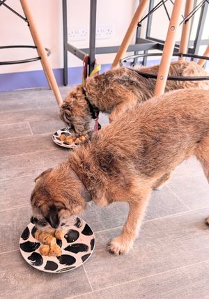 Sosage bites and yoke sauce at Peas and Libertea in Whitley Bay