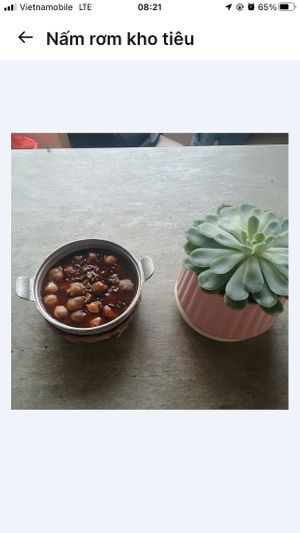  at Chay Tam Tu Vegetarian in Vung Tau