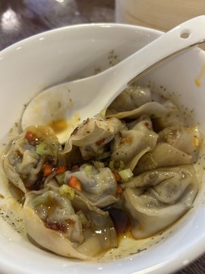 Spicy veg dumplings   at Veggie Kingdom - Causeway Bay - 緻素坊 in Hong Kong Island