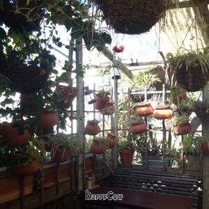 awesome patio at Ranchos - Sunset Cliffs in San Diego