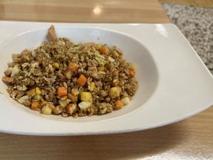 Sichuan flavored fried rice with vegetables and vegetarian ham  at Village Yoshi Vegetarian Healthy Creative Cuisine - 村吉蔬素食養生創意料理 in Tainan