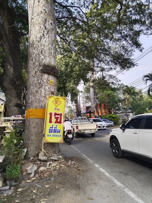 This is the sign on the roads that takes you to our vegan shop on the right #Veganuary at P Tim's Vegetarian Restaurant in Chiang Mai
