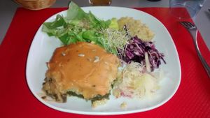 Vegan plate of the day at Le Bistrot de l'ile in Nantes