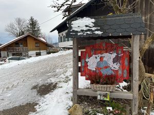 Back at Wohlfühlhof Zeh e.V. - Lebenshof für Tiere & Ferienhof in Waltenhofen