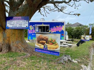  at Plant Based Palace Plus  in Sandys