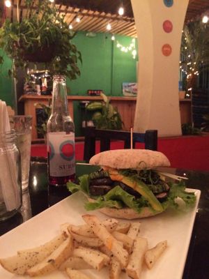 Veggie burger and fries - yummy at El Chante Gourmet in Alajuela