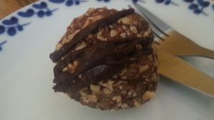 sugar free vegan ball at Sattva Naturbageriet in Stockholm