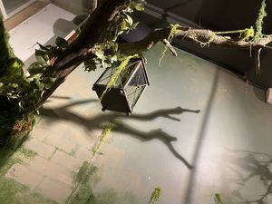   at Sustainaboule in Stockholm