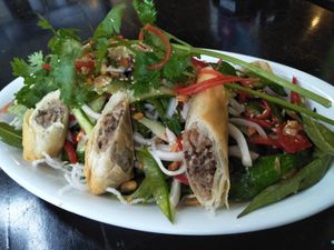 Glass noodle salad with taro spring rolls at Sandan in Sihanoukville