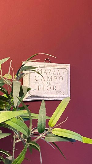  at Sora Diana in Edinburgh