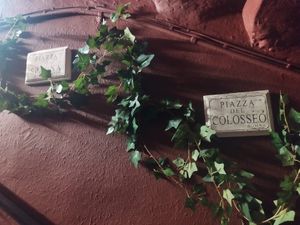  at Sora Diana in Edinburgh