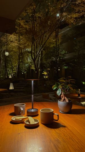 Garden   at Sekki in Kyoto