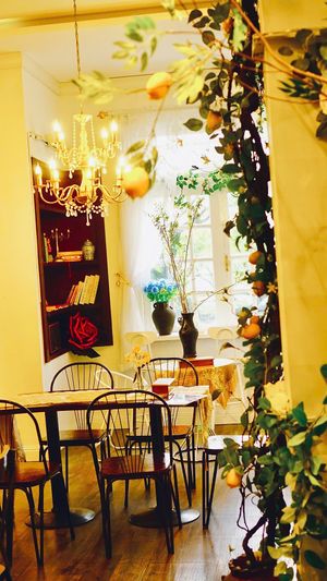  at Nhà Hàng Chay Tathata - Vegan Restaurant in Da Nang