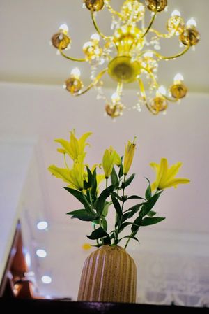  at Nhà Hàng Chay Tathata - Vegan Restaurant in Da Nang