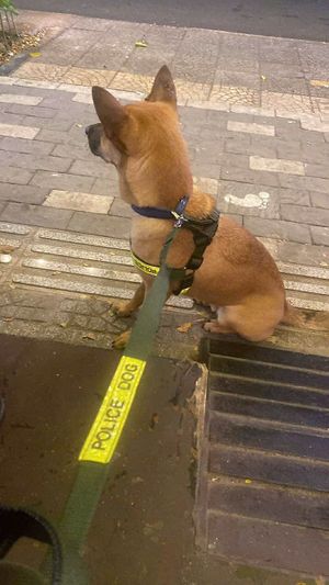  at Nhà Hàng Chay Tathata - Vegan Restaurant in Da Nang