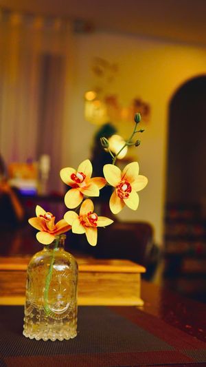  at Nhà Hàng Chay Tathata - Vegan Restaurant in Da Nang