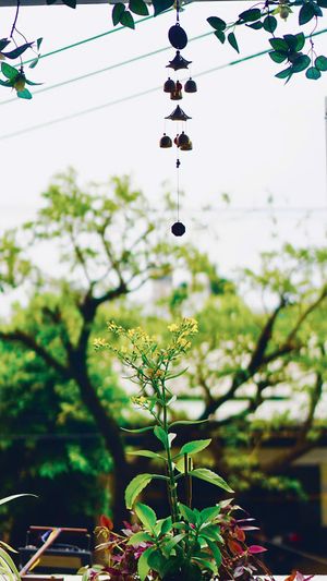  at Nhà Hàng Chay Tathata - Vegan Restaurant in Da Nang