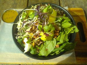 Vegan Miso Bowl for $18.50 at Vudu Cafe and Larder in Queenstown