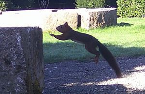  at La Maison Ruth in Montbray