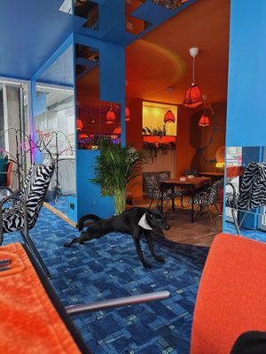   at Lokaal Tilk in Tallinn