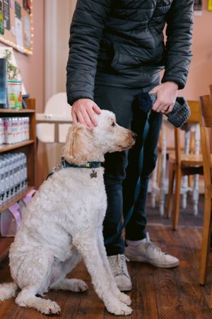  at Robin's Nest Coffee Shop in Chichester