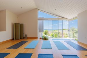 Yoga Studio #Veganuary at DELTA - Vegan Retreat in West Wittering